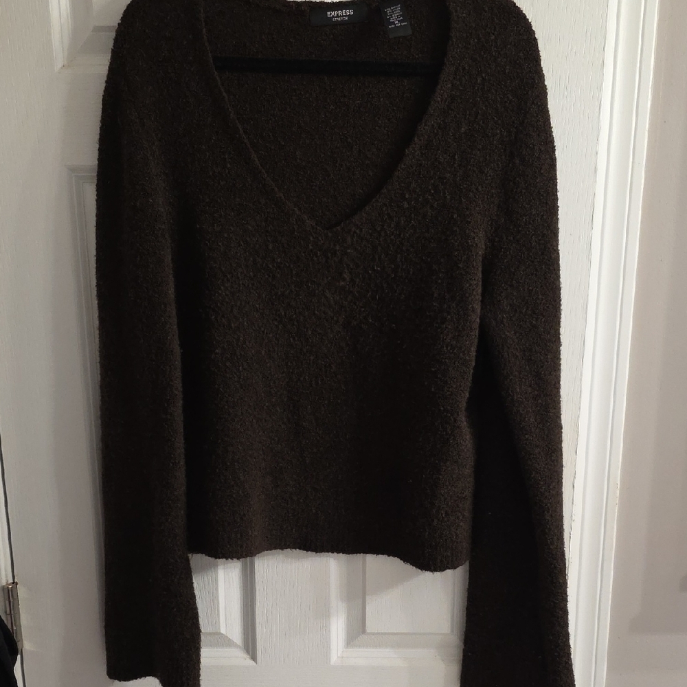 Express Women's Dark Brown V-Neck Sweater